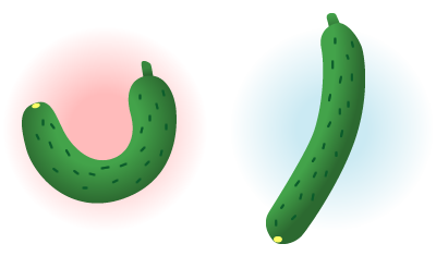 野菜の形の良し悪しを区別するのはコンピュータにはむずかしい